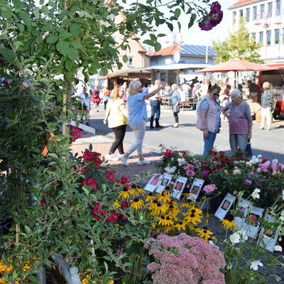 Bild vergr&ouml;&szlig;ern: Herbstmarkt