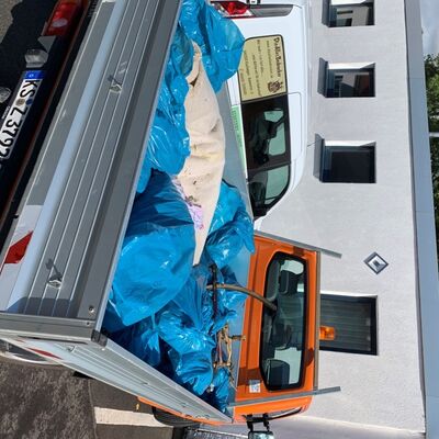 Bild vergr&ouml;&szlig;ern: Am Ende des Herbstputzes füllten viele blaue Müllsäcke den bereitgestellten Pritschenwagen der Gemeinde.