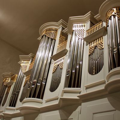 Bild vergr��ern: Im Anschluss an den Festgottesdienst, gab es f�r die Besucher die M�glichkeit, auf die Kaiserempore zu gehen und die Orgel von Nahem zu betrachten.