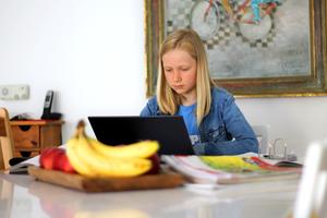 Bild vergr��ern: Um das Homeschooling f�r Kaufunger Sch�lerinnen und Sch�lern, die zuhause aus finanziellen Gr�nden nicht �ber einen ausreichenden Internet-Anschluss verf�gen, zu erleichtern, vergibt die Gemeinde Kaufungen Zusch�sse f�r einen schnelleren Internetanschluss.