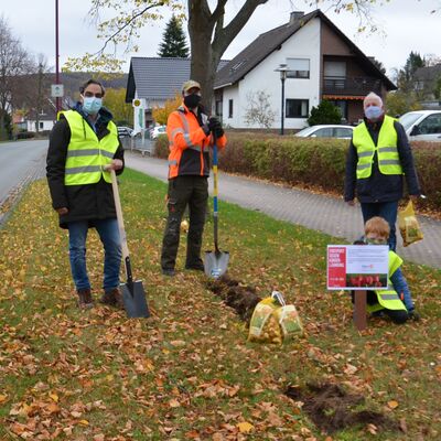 Bild vergr&ouml;&szlig;ern: Rotary Tulpenaktion
