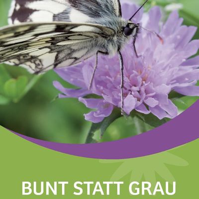 Bild vergrößern: Ein neuer Flyer vom Landkreis Kassel in Zusammenarbeit mit der Gemeinde Kaufungen und der Stadt Baunatal wirbt für die Anlage von blühenden Vorgärten.