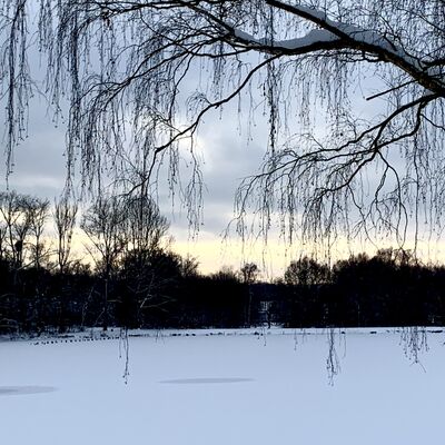 Bild vergr&ouml;&szlig;ern: Wintermärchen