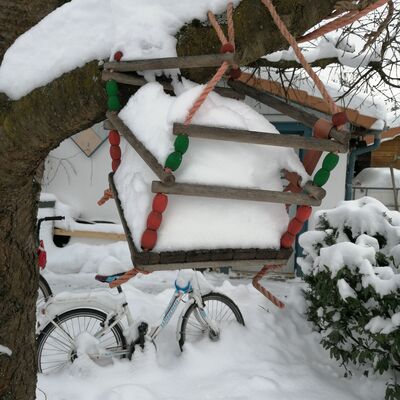 Bild vergr&ouml;&szlig;ern: Wintermärchen