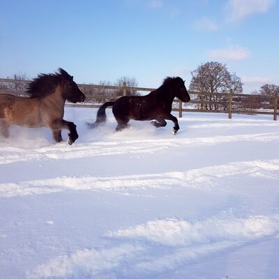 Bild vergr&ouml;&szlig;ern: Wintermärchen