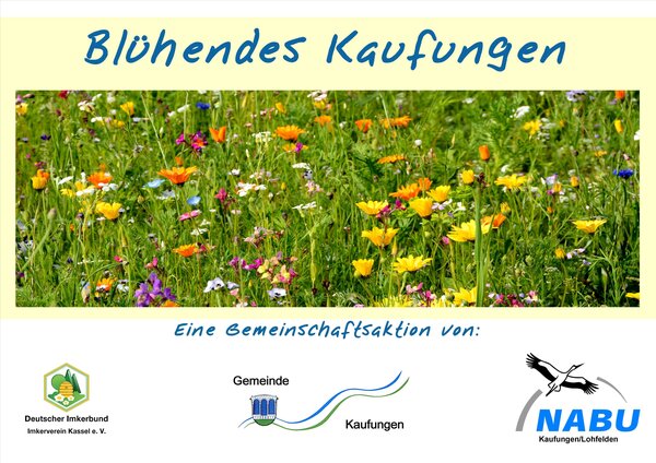 Bild vergr&ouml;&szlig;ern: Blühendes Kaufungen