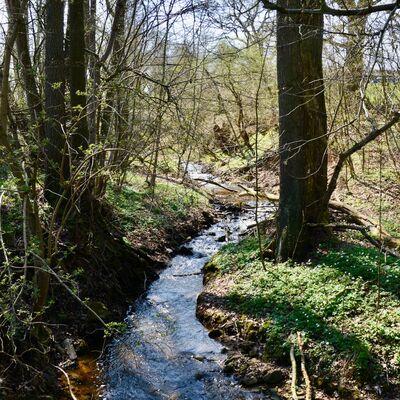 Bild vergr��ern: Auch die Losse wird beim Wandern �berquert.