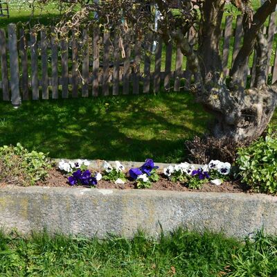 Bild vergr��ern: Immer wieder gibt es sch�ne Details am Wegesrand zu bewundern.