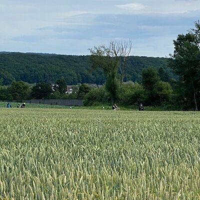 Bild vergr&ouml;&szlig;ern: Gemeinsame Radtour am 7.7.2021