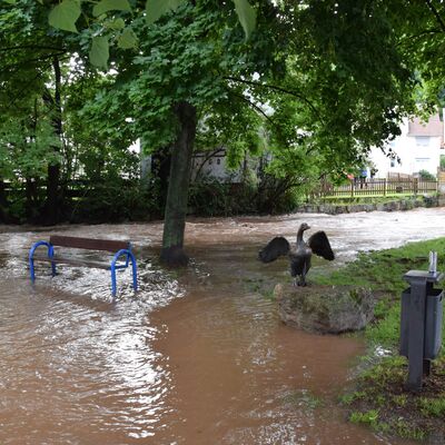 Bild vergr&ouml;&szlig;ern: Hochwasser 2021