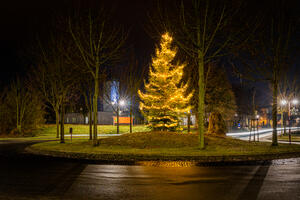 Bild vergr��ern: Weihnachtsbaum am Kreisel