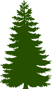 Bild vergr��ern: Weihnachtsbaum