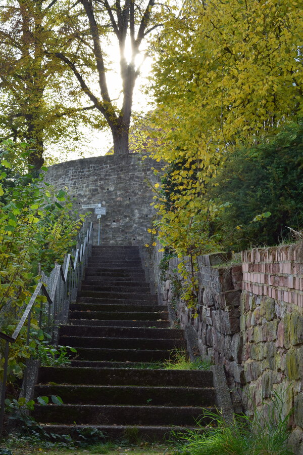 Bild vergr&ouml;&szlig;ern: Die Sanierung der Treppenanlagen Großer und Kleiner Kirchberg sowie Domberg im Oberkaufunger Altdorf steht in den Startlöchern.