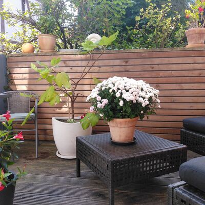 Bild vergr&ouml;&szlig;ern: Terrasse