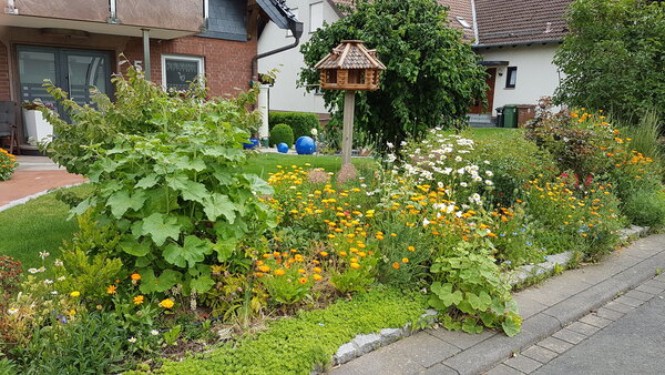 Vorgarten mit Zukunft