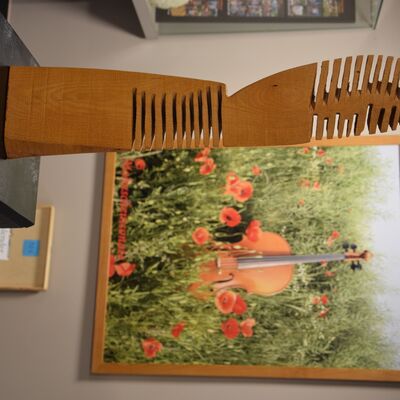 Bild vergr&ouml;&szlig;ern: Die Ausstellung zeigt eine besondere Begegnung zwischen Musik, Natur und Kunst.