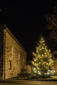 Bild vergr��ern: Weihnachten 2022