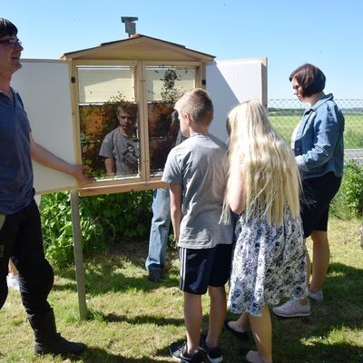 Bild vergr&ouml;&szlig;ern: Ein weiteres Highlight des Bienenpfads wurde enthüllt - ein lebendiger Bienenschaukasten.