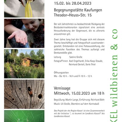 Plakat Ausstellung Wildbienen