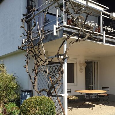 Bild vergr&ouml;&szlig;ern: Ferienwohnung Schmidt