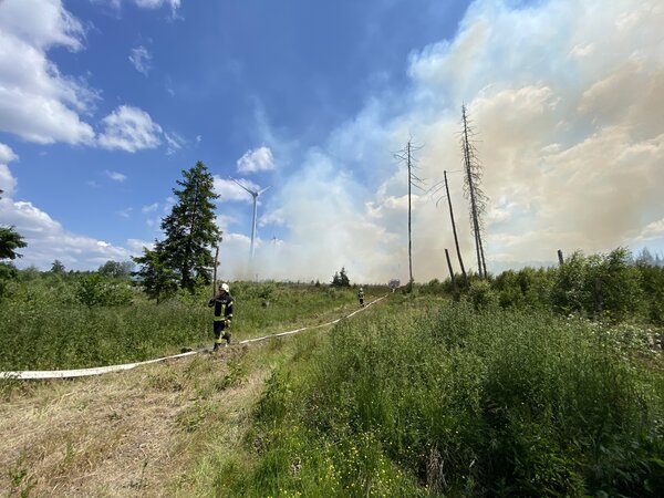 Brand im Stiftswald