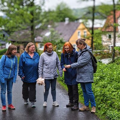 Bild vergr&ouml;&szlig;ern: Kräuterwanderung