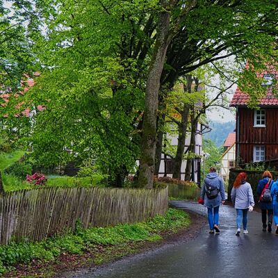 Bild vergr&ouml;&szlig;ern: Kräuterwanderung