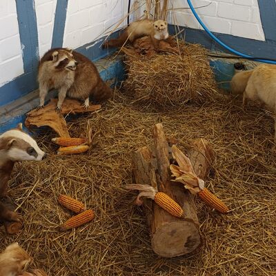 Bild vergr��ern: Ausstellung der 