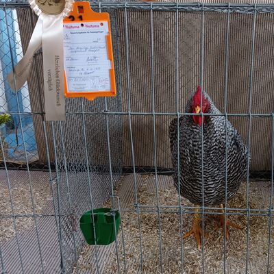 Bild vergr��ern: So sieht ein Sieger aus.