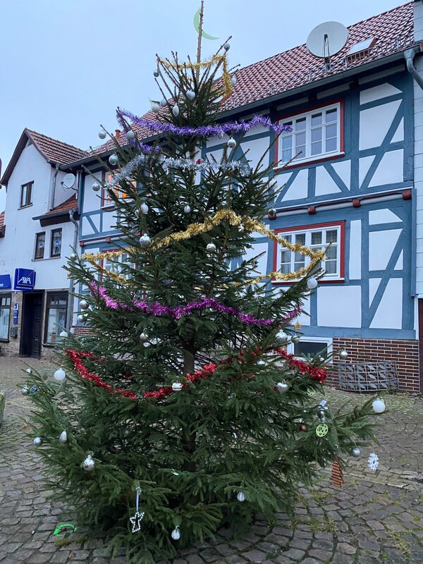 Bild vergr&ouml;&szlig;ern: Weihnachtsbaum