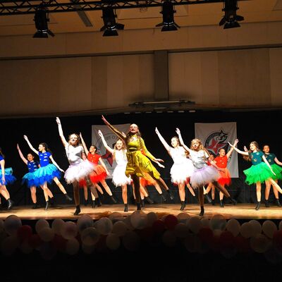 Bild vergr��ern: �Die Blauen Funken� aus Guxhagen mit ihren bunten Kost�men.