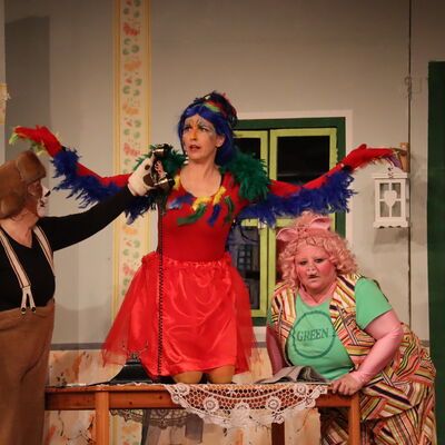 Bild vergr��ern: Begleiten Dr. Dolittle bei seinen Abenteuern: Hund Jip (Nicole Ohm-Hansen), Papagei Polynesia (Stephanie Homeier) und Schwein G�b-G�b (Susanne S�ssner).