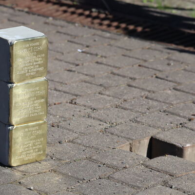 Bild vergr&ouml;&szlig;ern: Stolpersteinverlegung 2025