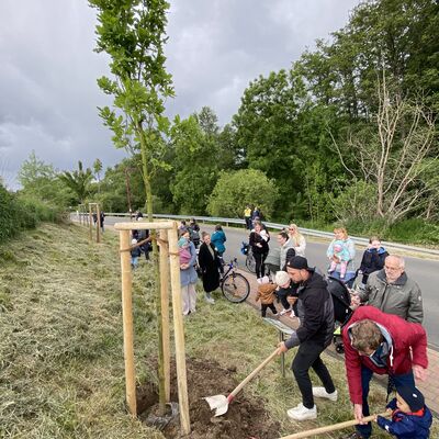 Bild vergr��ern: Ein symboltr�chtiges Zeichen: Gemeinsam wird das Pflanzloch der neuen Roteiche f�r den Geburtenjahrgang 2025 mit Erde bef�llt.