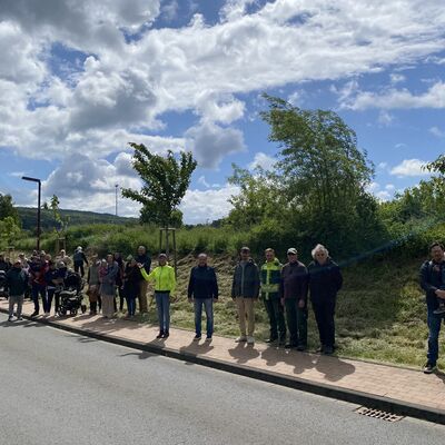 Bild vergr��ern: Bis zum Jahr 2045 wird entlang der Stra�e Am Stechkopf eine pr�chtige, einseitige Allee mit Symbolcharakter entstehen.