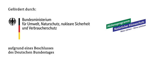 Neuer Klimaanpassungsmanager