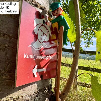 Bild vergr&ouml;&szlig;ern: Playmobil Foto Aktion