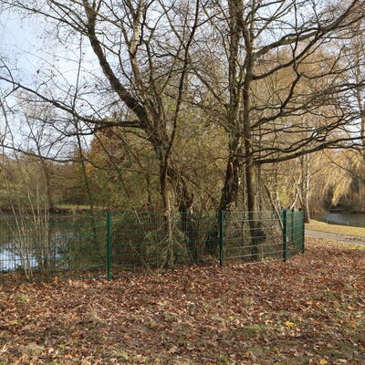 Einz&auml;unung Amphibienteich