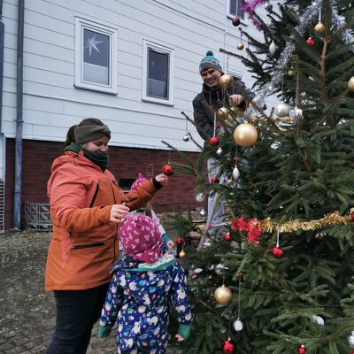 Weihnachtsbaum Rosenborn