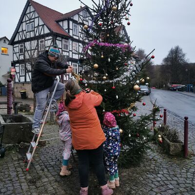 Bild vergr&ouml;&szlig;ern: Weihnachtsbaum Rosenborn