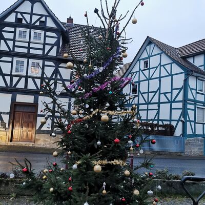Bild vergr&ouml;&szlig;ern: Weihnachtsbaum Rosenborn