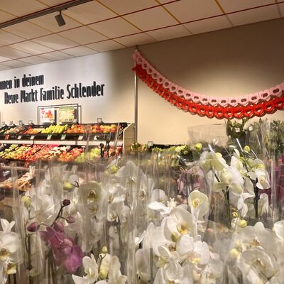 Bild vergr&ouml;&szlig;ern: Rewe Wiedereröffnung