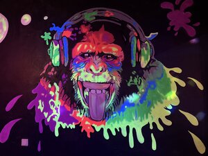 Bild vergr&ouml;&szlig;ern: Disco im JottZett