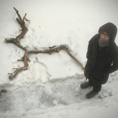 Bild vergr&ouml;&szlig;ern: Aus den Zweigen des ausgedünnten Holunders wurde ein Rentier im Schnee
