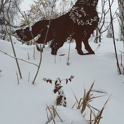 Bild vergr&ouml;&szlig;ern: Dem Wolf am Wolfsberg war bei soviel Schnee wohl zum Heulen. Uns nicht!