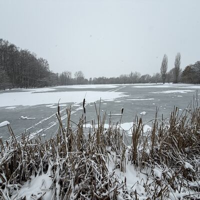Bild vergr&ouml;&szlig;ern: Wintermärchen Kaufungen copyright Klaus Diebel