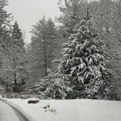 Bild vergr&ouml;&szlig;ern: Wintermärchen Kaufungen copyright Klaus Diebel