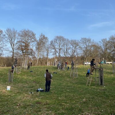 Bild vergr��ern: Innerhalb von Fortbildungen vermittelt das Team der Obstmanufaktur ihr Wissen, hier bei einem Kurs aus einer zweij�hrigen Obstbaumpflege-Fortbildung, f�r die Menschen aus ganz Deutschland anreisten.