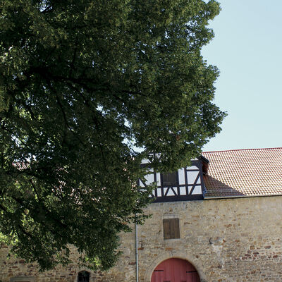 Bild vergr��ern: Scheunenkino 2026