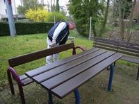 Bild vergr&ouml;&szlig;ern: Fr&uuml;hjahrsputz